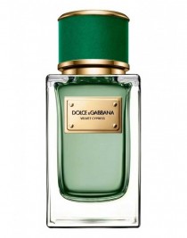 Dolce Gabbana Velvet Collection Velvet Cypress EDP 150 ml Erkek Parfüm