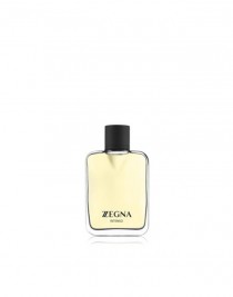 Ermenegildo Zegna Intenso EDT 100 ml Erkek Parfüm
